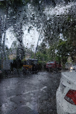 Nature's Crystal Symphony: A Rainy Day View 🌧️✨