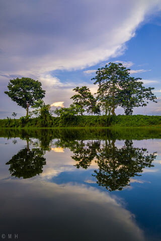 Nature's Mirror: A Tranquil Reflection