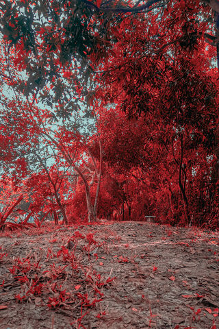 Red Tress