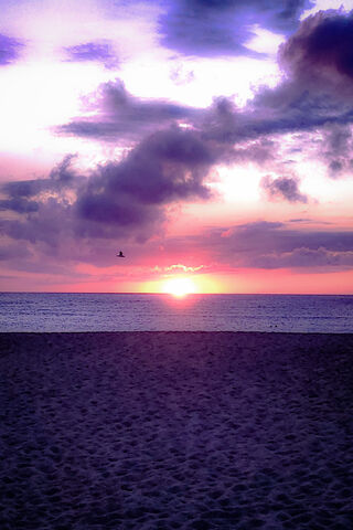 Awakening Horizons 🌅