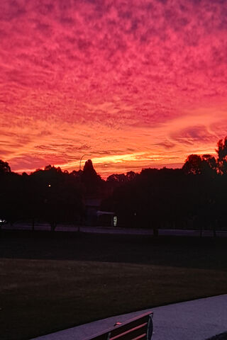 Fiery Horizons: The Magic of Sunset Orange 🌅✨