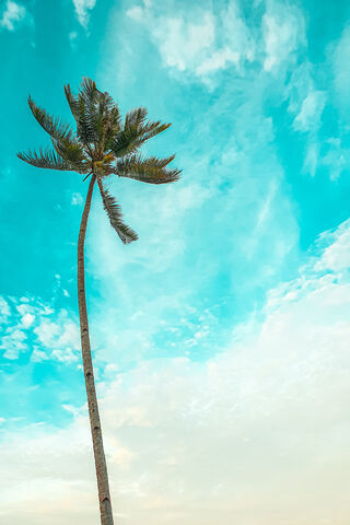 Tropical Bliss 🌴☀️