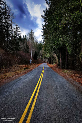 Journey Through Nature's Canvas 🌲🚗