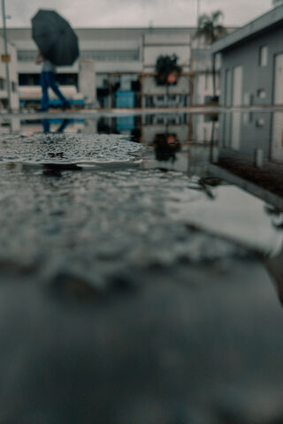 Reflections of a Rainy Day 🌧️