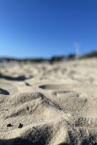 Whispers of the Shore: The Beauty of Sand