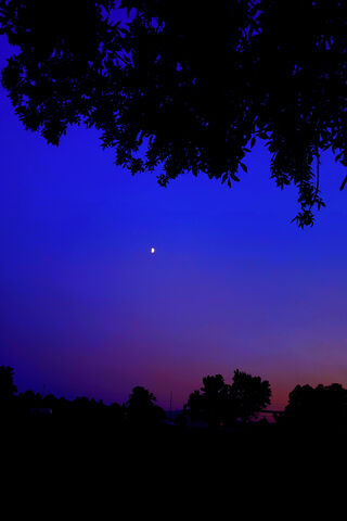 Twilight Whispers: A Dance of Shadows 🌙✨