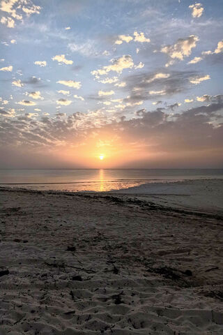 Golden Horizon: A Tranquil Sunset Escape 🌅