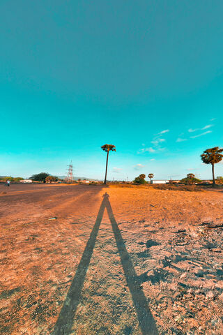 Golden Hour Bliss: A Sunset Silhouette 🌅🌴