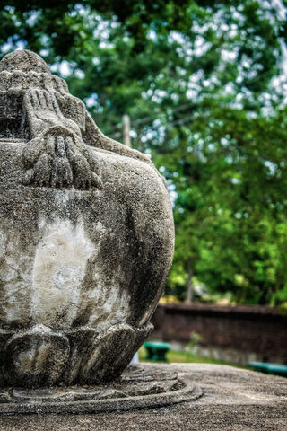 Whispers of Ancient Sri Lanka 🌿✨