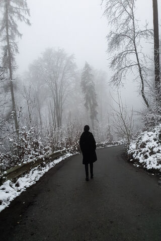 Whispers of the Fog 🌫️