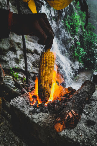 Nature's Delight: Grilled Sweet Corn 🌽🔥