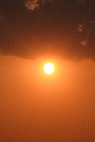 Golden Dawn: A New Beginning 🌅