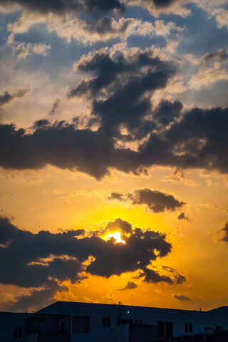 Golden Horizon: Embracing the Sun 🌅