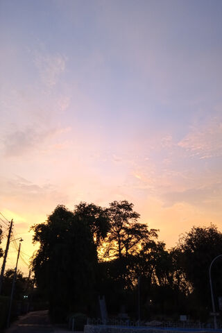 Golden Horizon: A Tranquil Evening