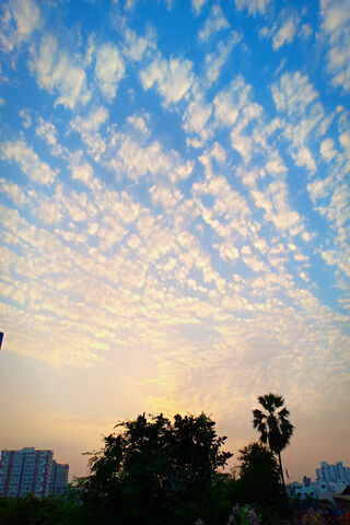 Heavenly Canvas: A Sky View Delight 🌤️✨