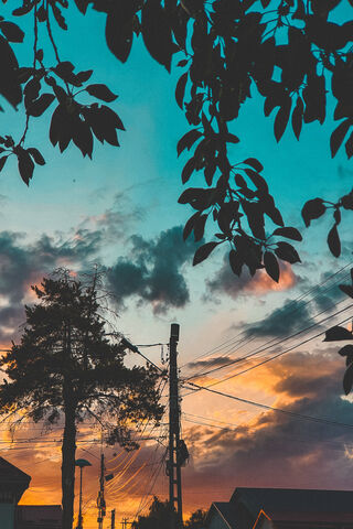 Chasing the Golden Hour 🌅