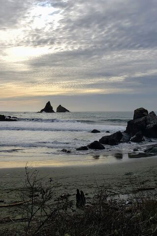 Whispers of the Ocean 🌊✨