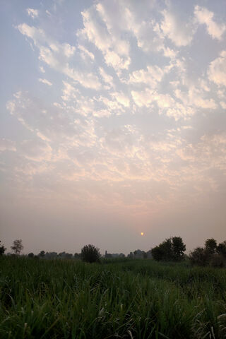 Golden Hour Serenity: A Village Sunset 🌅