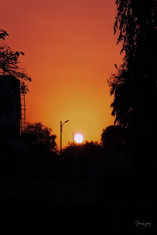 Golden Horizon: A Sunset to Remember 🌅