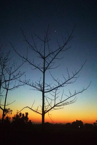 Twilight Whispers 🌅