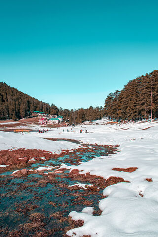 Snow Landscape