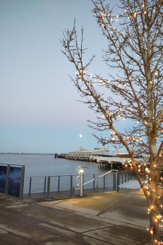 Twilight Serenity: A Moonlit Evening