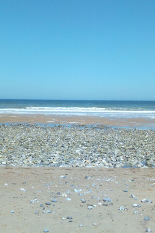 Serenity by the Shore 🌊✨