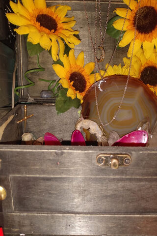 Treasures Among Sunflowers 🌻✨