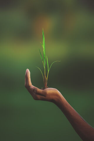 Nurturing Tomorrow: A Green Promise 🌱