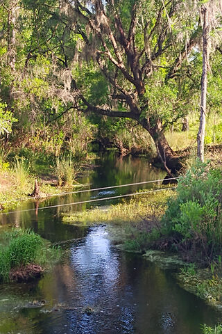 Golden Hour Reflections 🌅