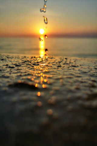 Golden Reflections: A Sunset's Embrace 🌅✨