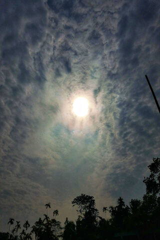 Celestial Canvas: A Glimpse of the Sky