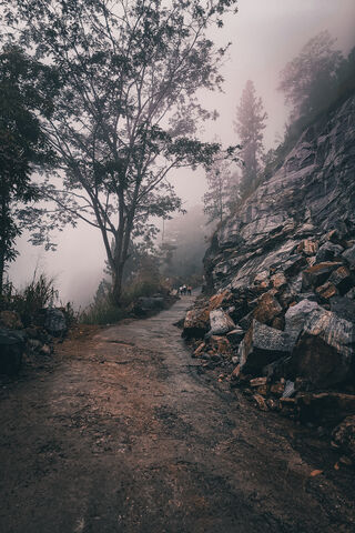 Journey Through the Misty Path 🌫️🚶 ️