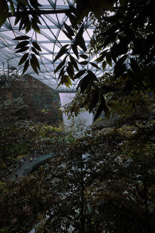 Nature's Hidden Gem 🌿💧