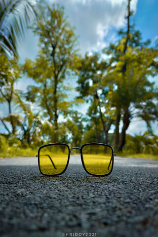 Golden Reflections: A Sunny Day