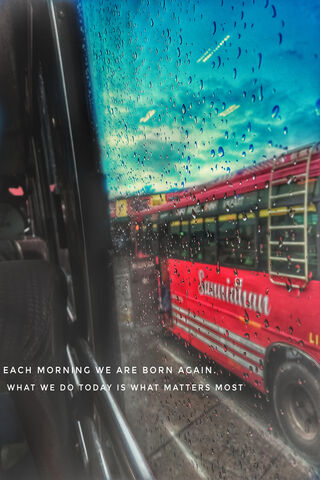 Journey Reflections: A Travel Diary