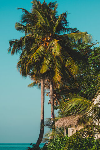Tropical Paradise: Fehendhoo Bliss 🌴🌊