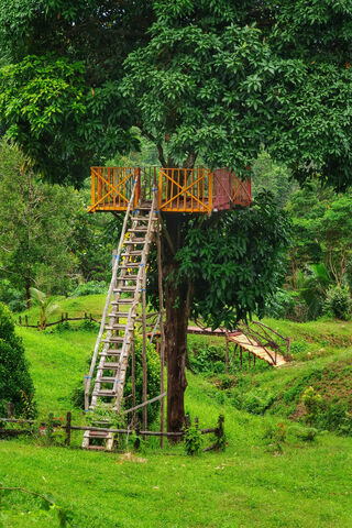 Whimsical Retreat: The Enchanted Tree House 🌳🏡