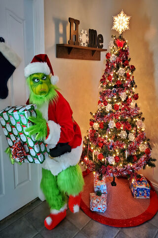 The Grinch's Holiday Heist 🎄🎁