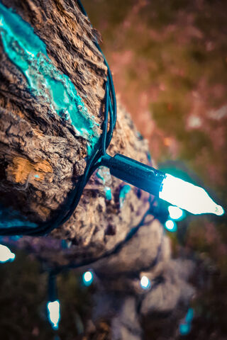 Twinkling Tree Magic 🌟
