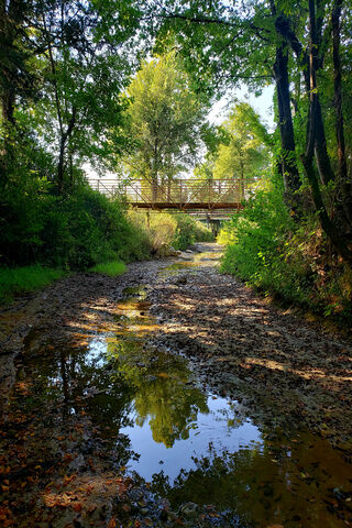 Tishomingo Creek: Nature's Tranquil Escape 🌿🌊