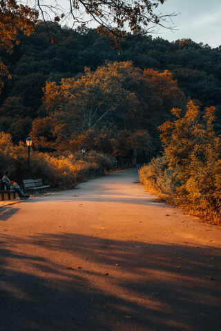 Autumn Serenity: A Path to Tranquility 🍂✨