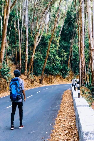 Wanderlust Awaits: Journey Through Nature 🌲🚶