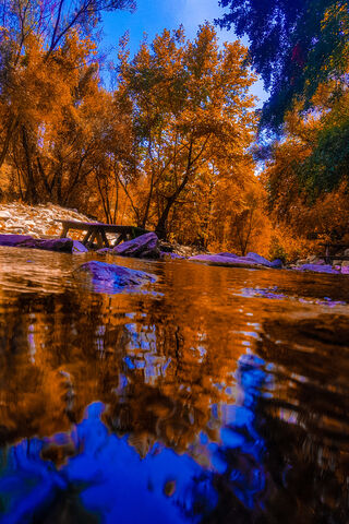 Autumn Reflections: Nature's Canvas