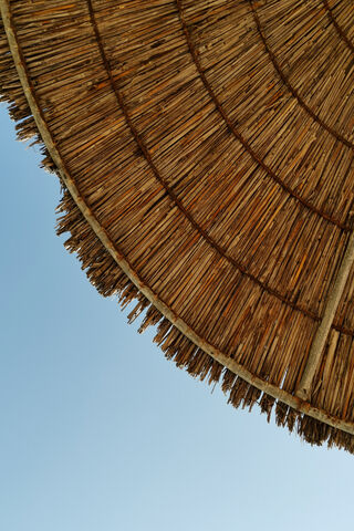 Under The Sun