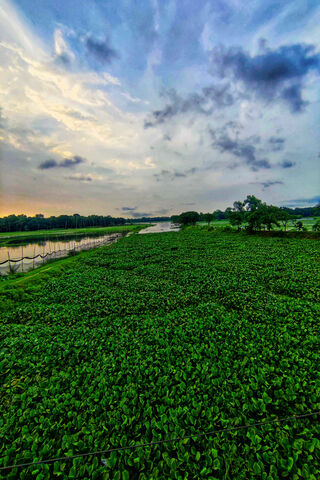Serenity by the Village River 🌿🌅