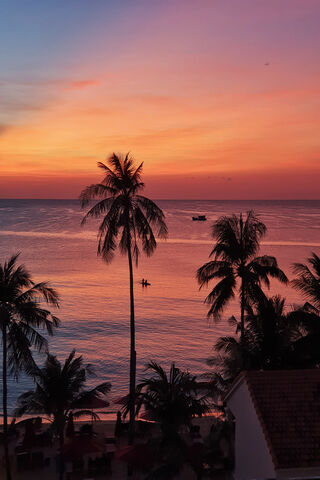 Tropical Twilight: A Vietnam Evening 🌅