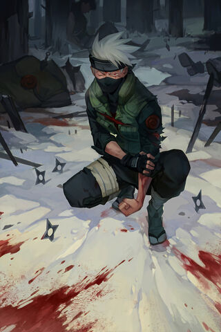 Mystical Shadows: A Warrior's Resolve