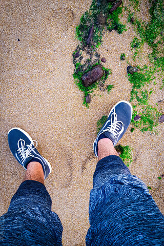 Vans On Beach