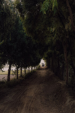 Pathway to Serenity: A Village Journey 🌳🚜
